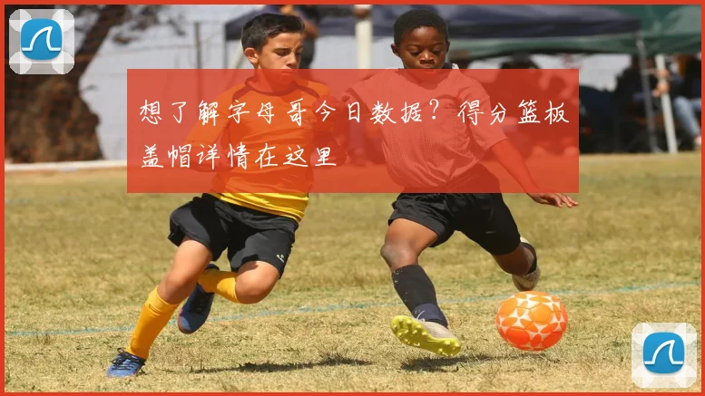 想了解字母哥今日数据？得分篮板盖帽详情在这里
